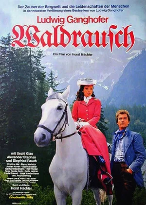 Постер: Waldrausch