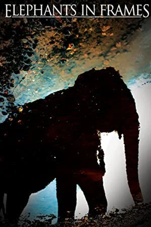 Постер: Elephant Power