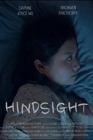 Постер: Hindsight