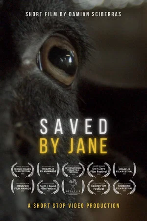 Постер: Saved By Jane