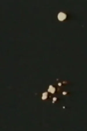 Постер: Song 11