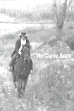 Постер: No Come Back