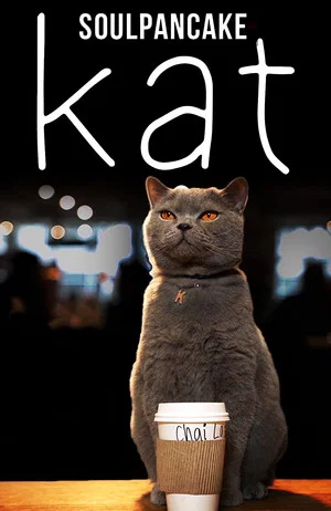 Постер: Kat