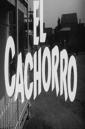 Постер: El cachorro