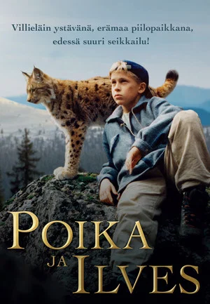 Постер: Tommy and the Wildcat
