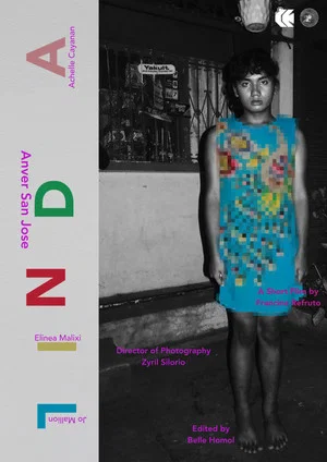 Постер: Tinda