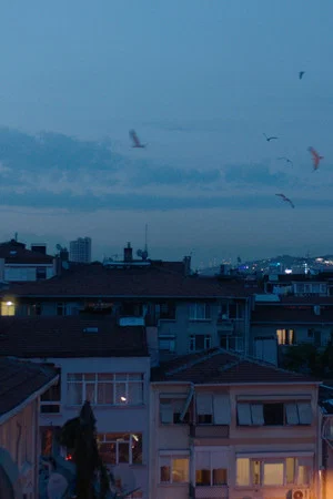 Постер: Deceptive Depths