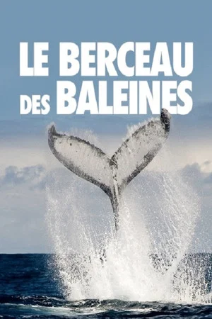 Постер: The Cradle of Whales