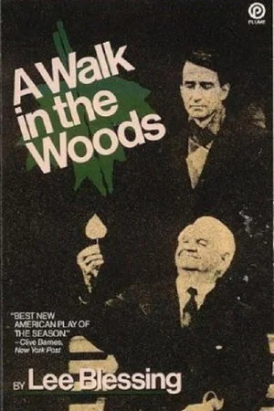 Постер: A Walk in the Woods