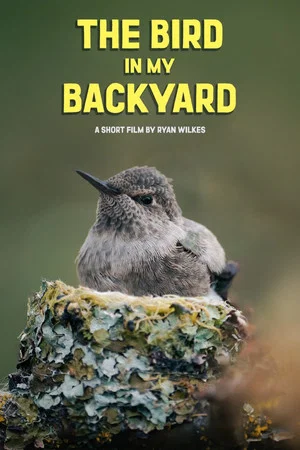 Постер: The Bird in My Backyard