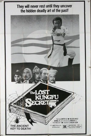 Постер: The Lost Kung Fu Secrets
