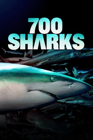 Постер: 700 Sharks