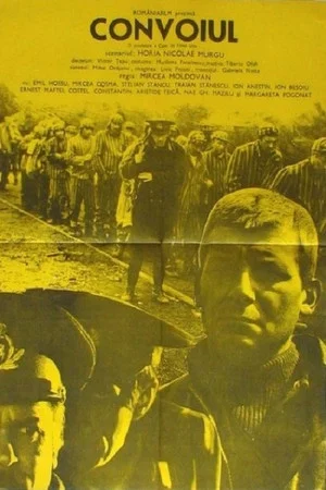Постер: The Convoy