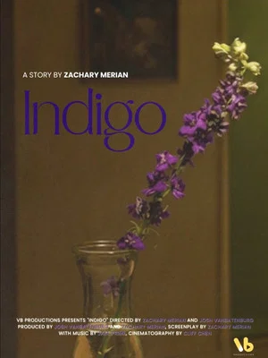 Постер: INDIGO