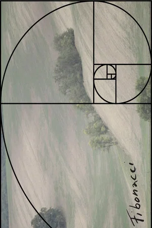 Постер: Fibonacci