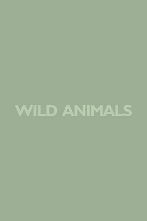 Постер: Wild Animals