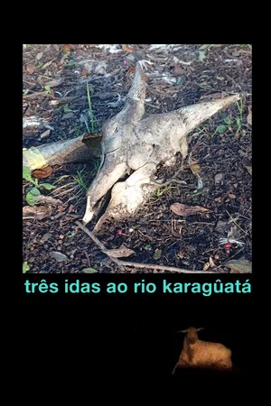 Постер: Três idas ao Rio Karagûatá