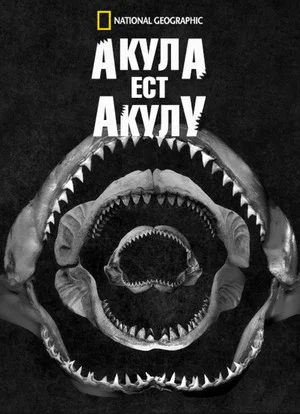 Постер: Акула Ест Акулу
