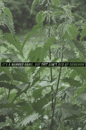 Постер: S—t Doesn't Add Up