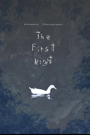 Постер: The First Night