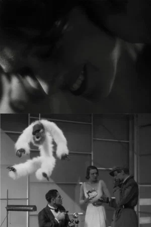 Постер: Tango