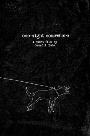 Постер: One Night Somewhere