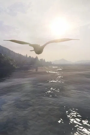 Постер: How to Fly