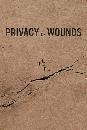Постер: Privacy of Wounds