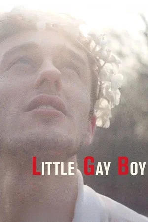 Постер: Little Gay Boy