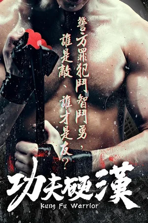 Постер: Kung Fu Warrior