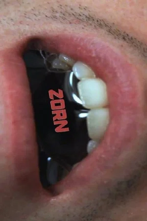 Постер: Zorn