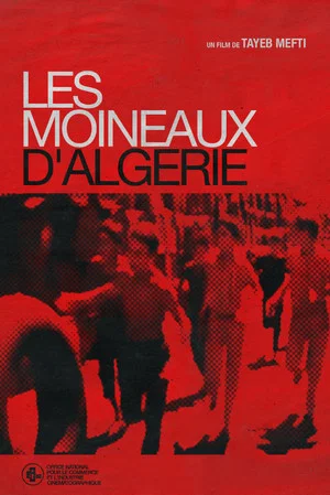 Постер: Les Moineaux d'Algérie