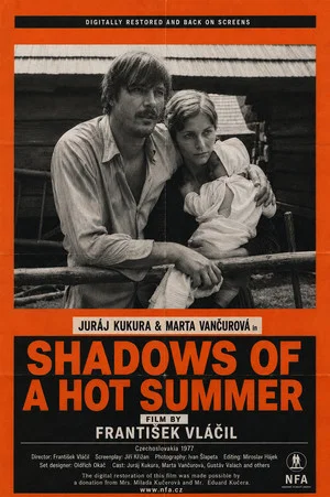 Постер: Shadows of a Hot Summer
