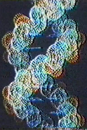 Постер: Spirals of Everlasting Change