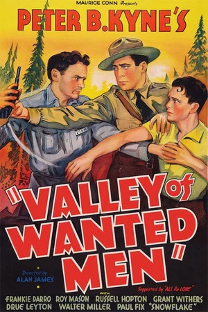 Постер: Valley of Wanted Men