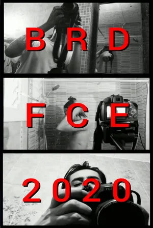 Постер: BRDFCE2020