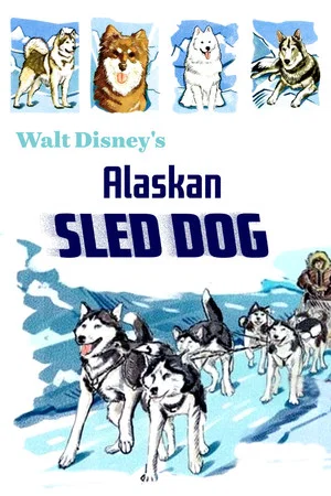 Постер: Alaskan Sled Dog