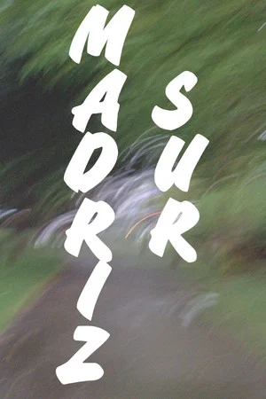 Постер: MADRIZ SUR