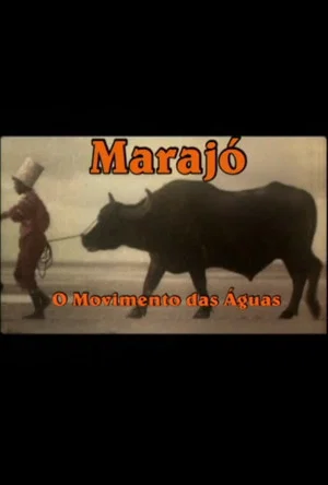 Постер: Marajó: A Origem das Águas