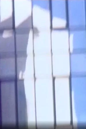 Постер: Reflection