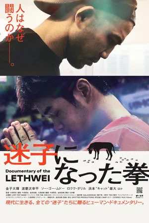 Постер: Lost Fist