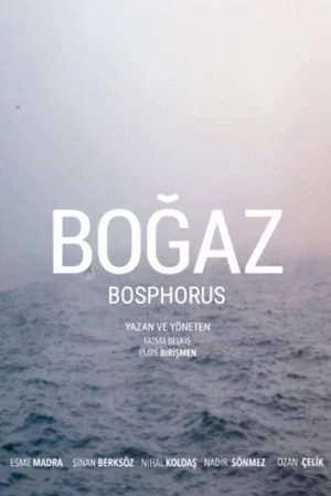 Постер: Bosphorus