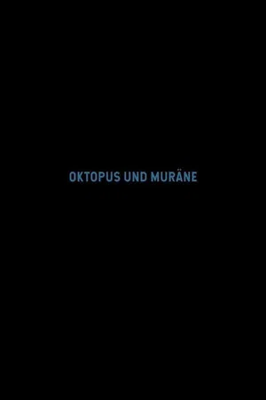Постер: Octopus and Moray