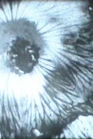 Постер: Solarization