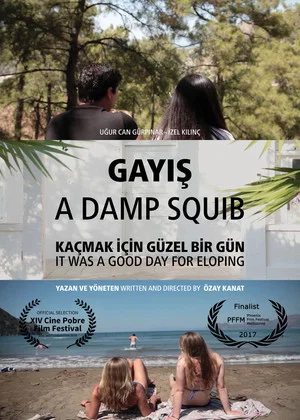 Постер: A Damp Squib