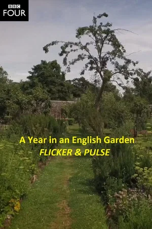 Постер: Flicker & Pulse