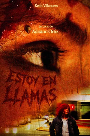 Постер: estoy en llamas