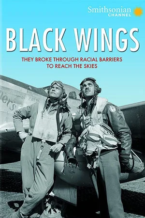 Постер: Black Wings