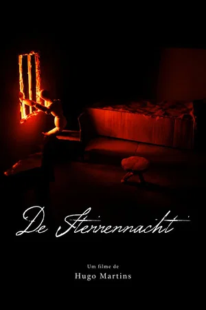 Постер: De Sterrennacht