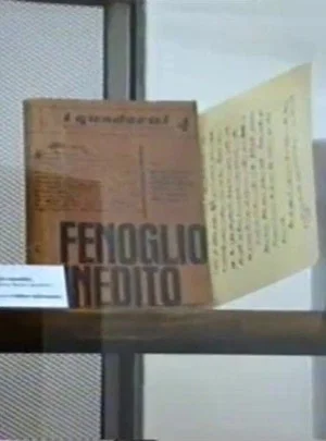 Постер: Una questione privata. Vita di Beppe Fenoglio